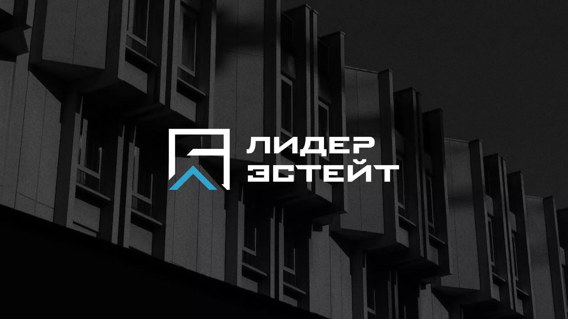 Разработка логотипа агентства недвижимости «Лидер Эстейт» в Лихославле